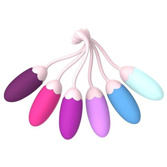 FENHUA Kegel Exercise System with Weights and Kit