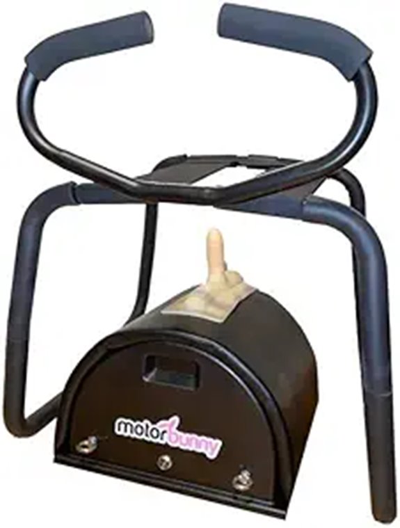 Motorbunny Easy Rider Sex Chair for Couples