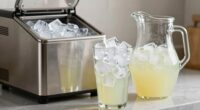 ice makers enhance daily life