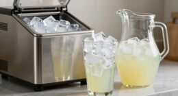 ice makers enhance daily life