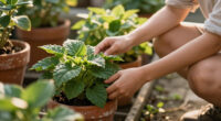 Do plants have spirits?
