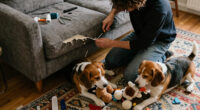 The pet I’ll never forget: Holly, the beagle who chewed her way through my home and into my heart